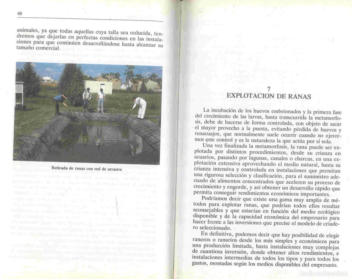 Libros de segunda mano: La rana. Cr&iacute;a y explotaci&oacute;n. 1989 - Foto 3