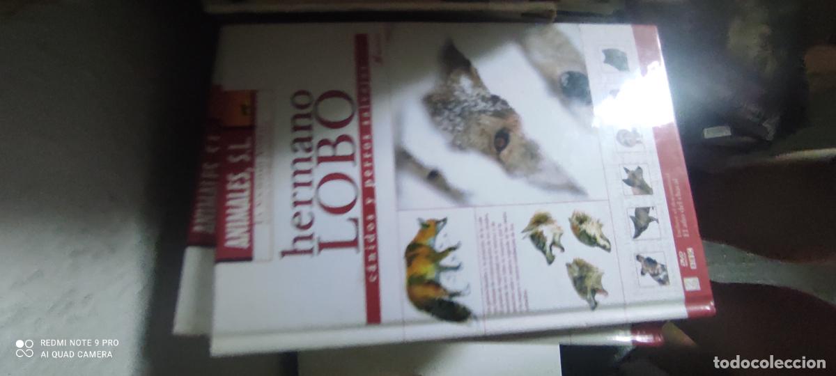 Libros de segunda mano: ANIMALES S.L. HERMANO LOBO