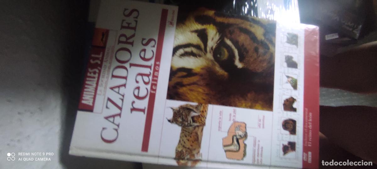 Libros de segunda mano: Cazadores reales. Felinos. Animales , S.L