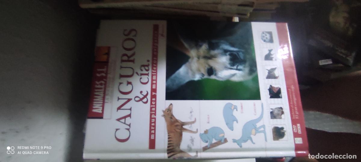 Libros de segunda mano: ANIMALES S.L. CANGUROS Y CIA