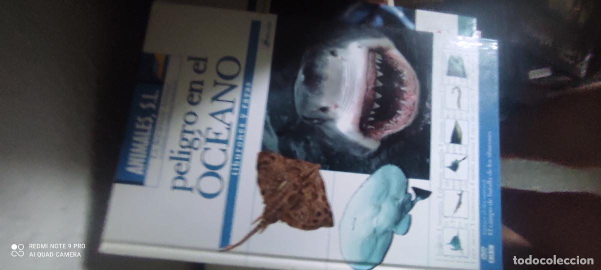 Libros de segunda mano: Animales s.l. peligro en el oc&eacute;ano tiburones y rayas