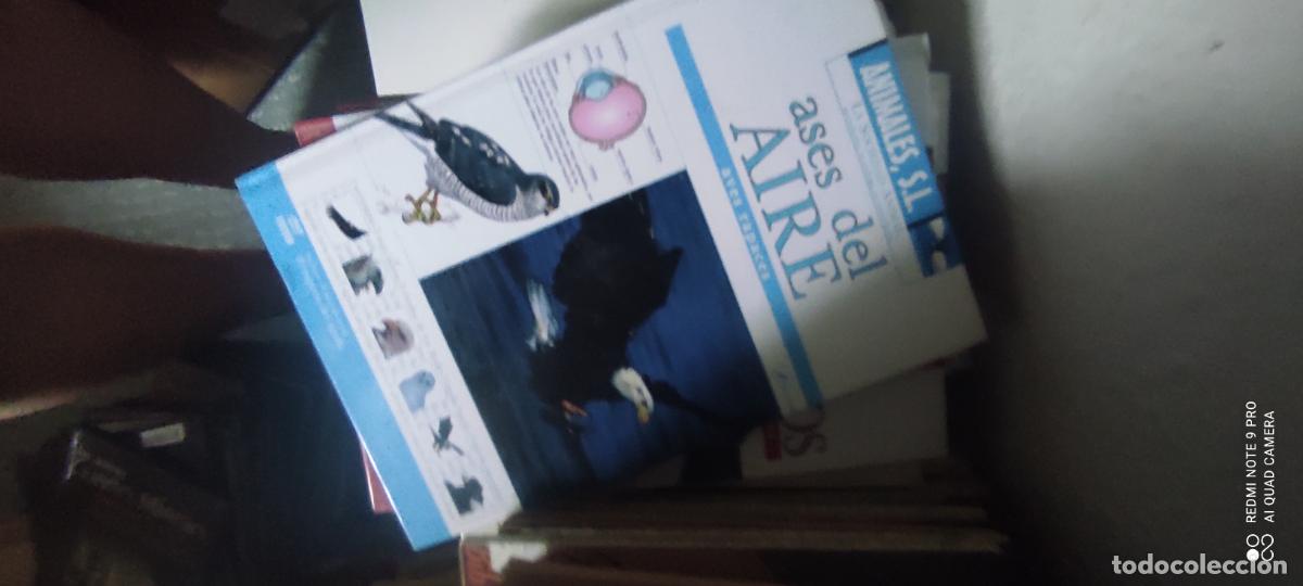 Libros de segunda mano: Ases del aire. Aves rapaces. Animales , S.L. No incluye DVD - Ram&oacute;n Mart&iacute; Montes