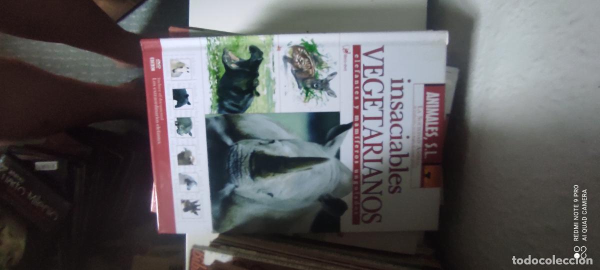 Libros de segunda mano: LIBRO ANIMALES S.L. INSACIABLES VEGETARIANOS ELEFANTES Y MAMIFEROS