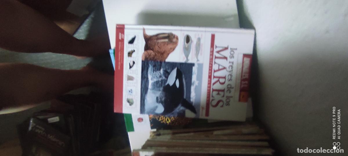 Libros de segunda mano: ANIMALES S.L. Los reyes de los mares. Mam&iacute;feros acu&aacute;ticos