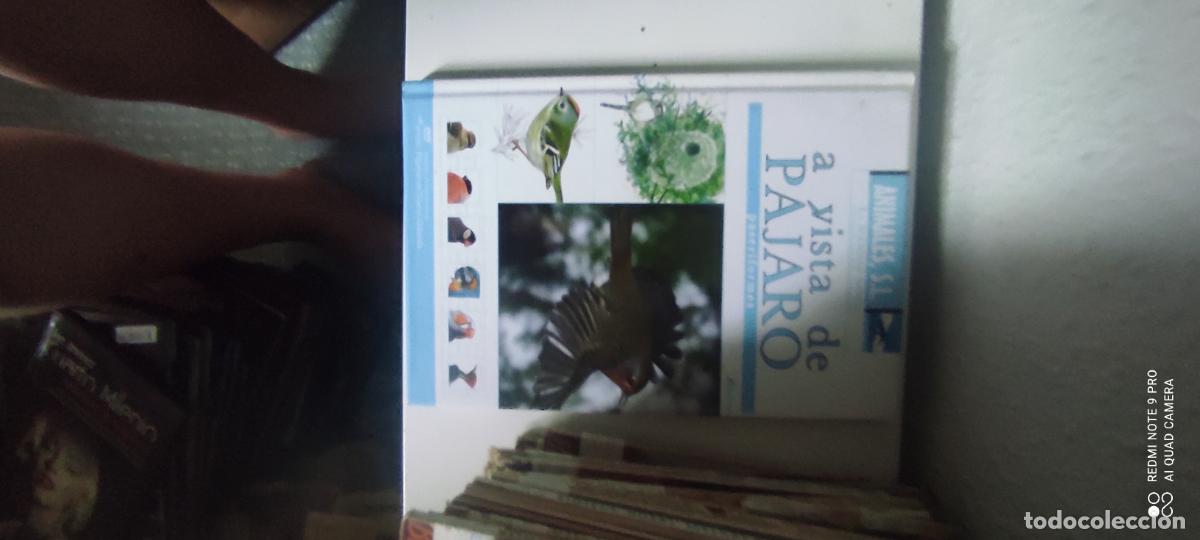 Libros de segunda mano: ANIMALES S.L. Los reyes de los mares. Mam&iacute;feros acu&aacute;ticos A vista de p&aacute;jaro