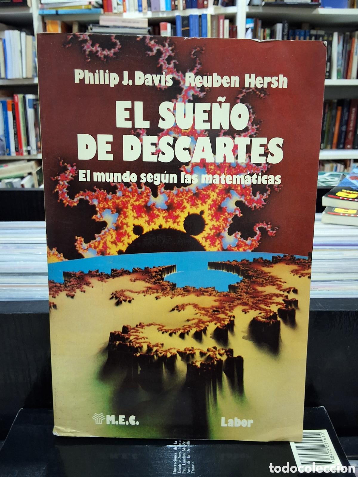 Libros de segunda mano de ciencias: EL SUE&Ntilde;O DE DESCARTES - EL MUNDO SEG&Uacute;N LAS MATEM&Aacute;TICAS - P. DAVIS - ENV&Iacute;O DESDE 1,95 &euro;