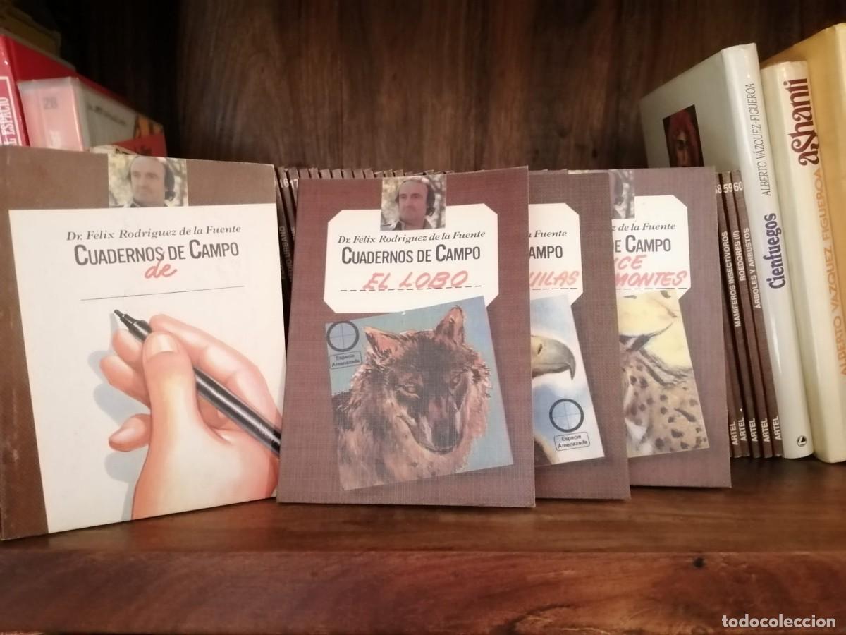 Libros de segunda mano: COLECCION COMPLETA CUADERNOS DEL CAMPO RODRIGUEZ DE LA FUENTE (60 LIBRITOS) Y TRES CUADERNOS DIBUJO