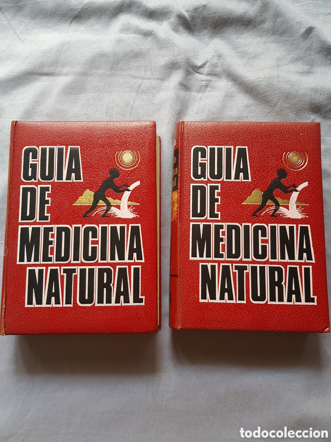Libros de segunda mano: GU&Iacute;A DE MEDICINA NATURAL. VOLUMEN 1. SALUD Y CURACI&Oacute;N y PLANTAS MEDICINALES. CARLOS KOZEL