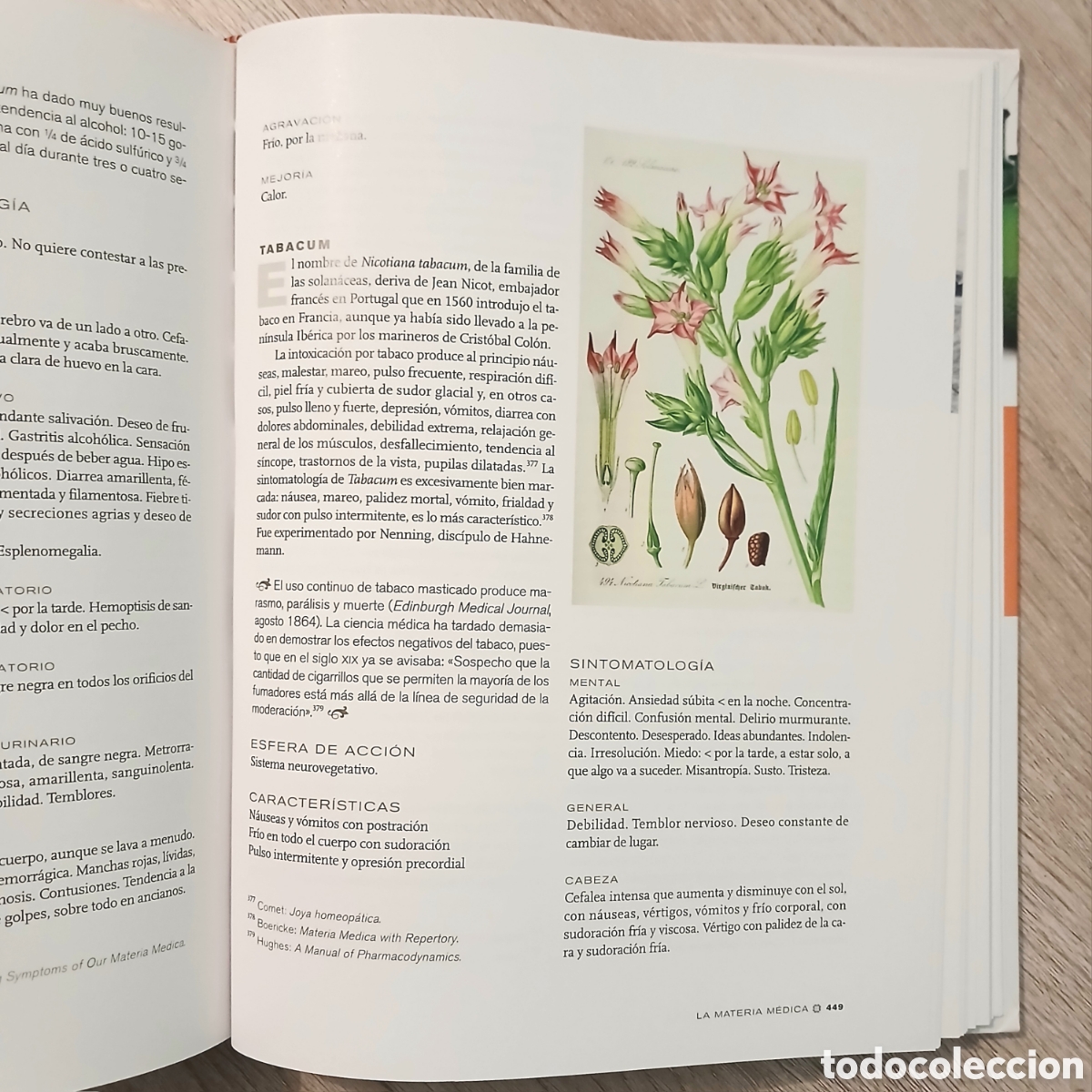 Libros de segunda mano: Medicina homeop&aacute;tica - Foto 8