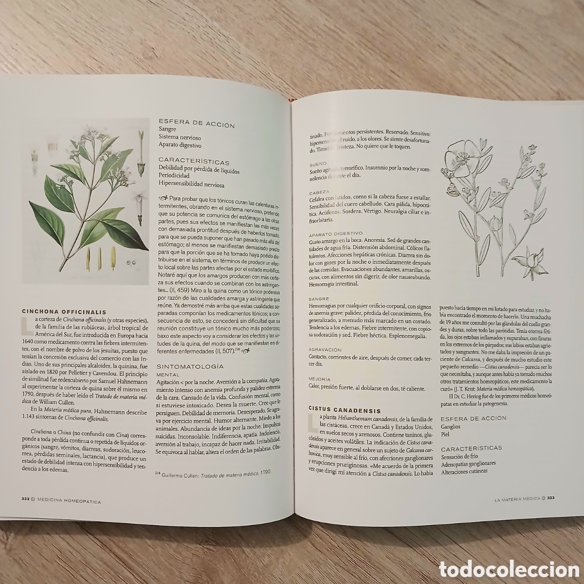 Libros de segunda mano: Medicina homeop&aacute;tica - Foto 11