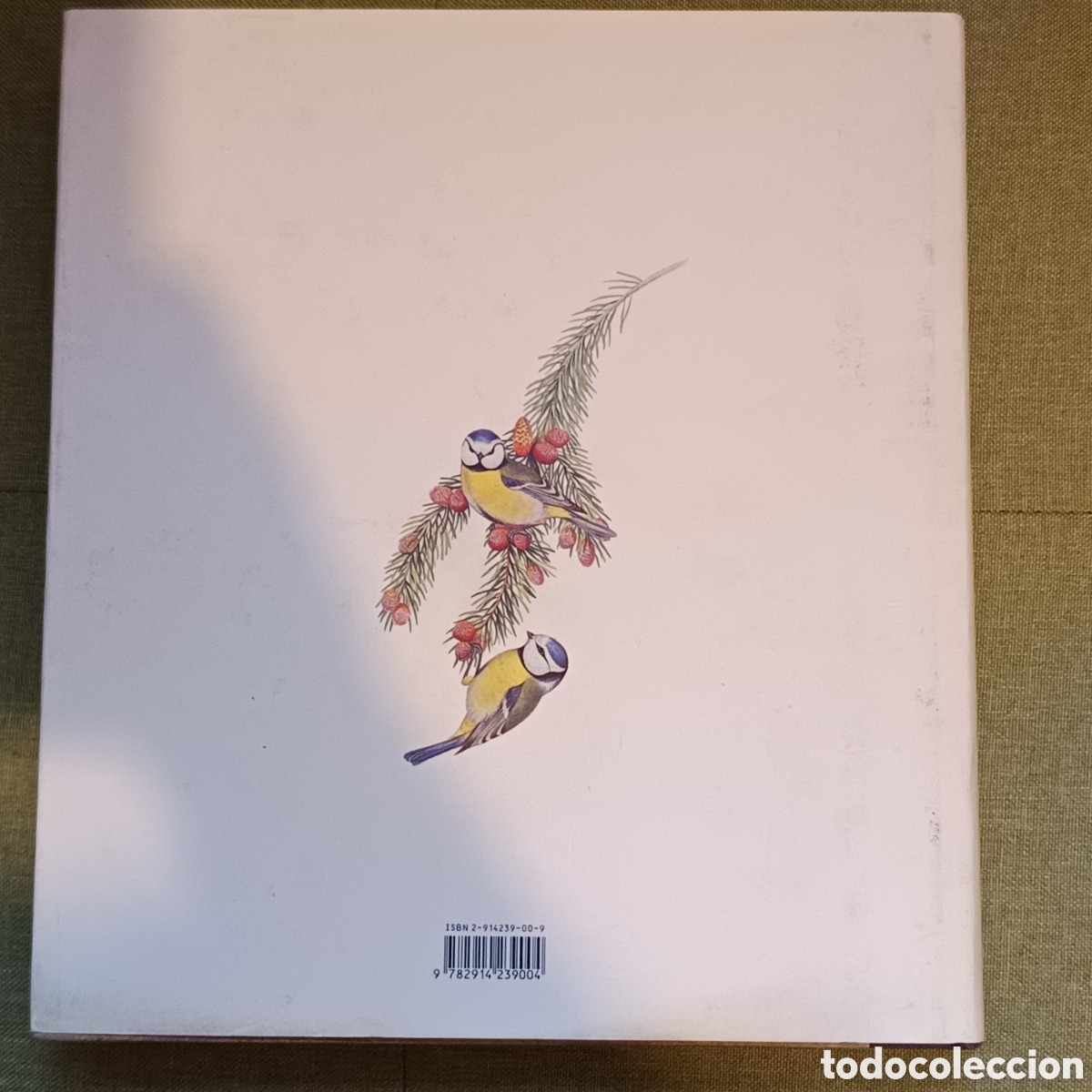 Libros de segunda mano: Las aves de Europa de John Gould - Foto 4