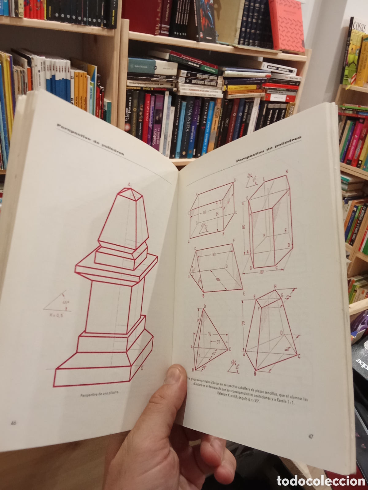 Libros de segunda mano de ciencias: Perspectiva caballera - T. Carreras Soto - Foto 5