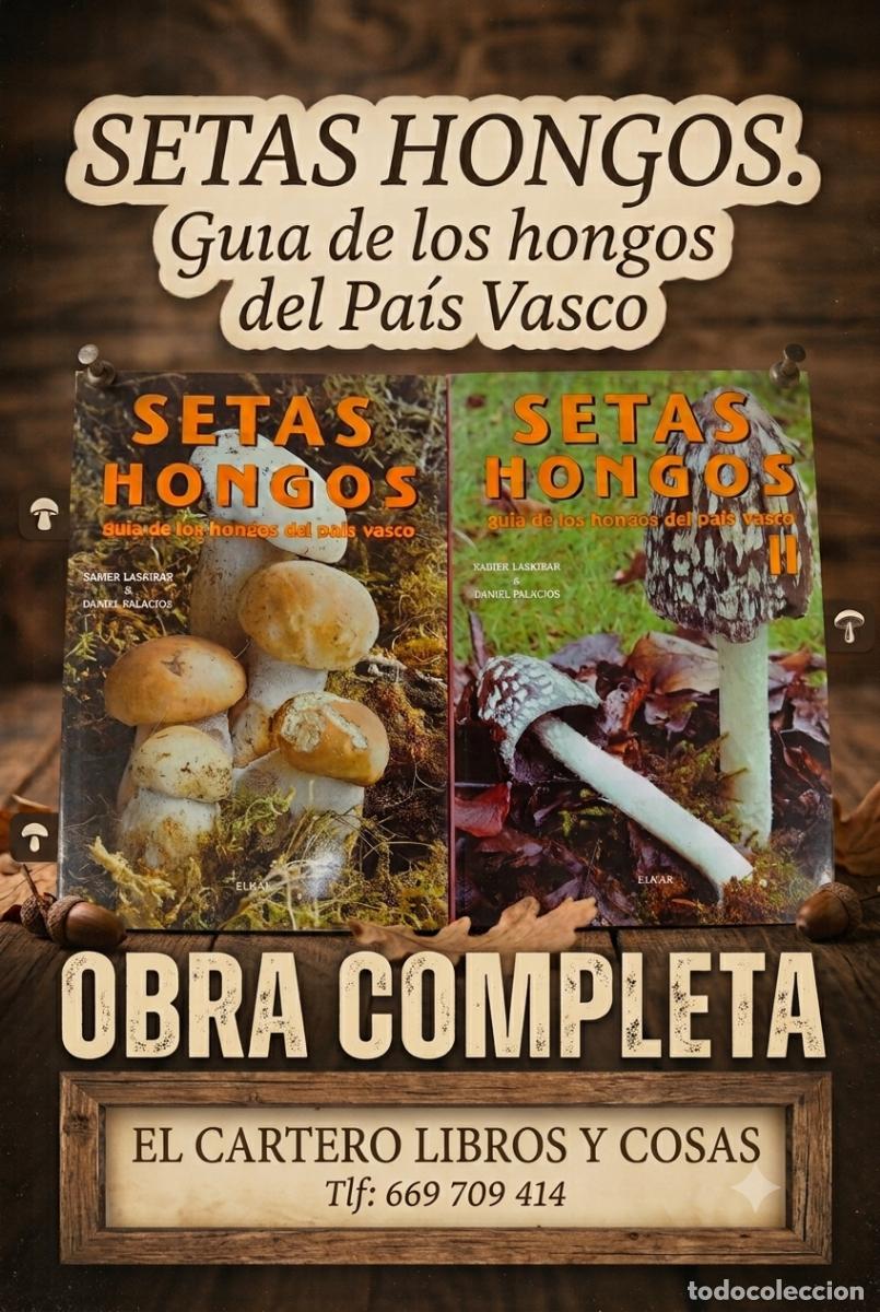 Libros de segunda mano: (SETAS) HONGOS GUIA DE LOS HONGOS DEL PAIS VASCO POR X.LASKIBAR Y D. PALACIOS 2 VOLUMENES - COMPLETA