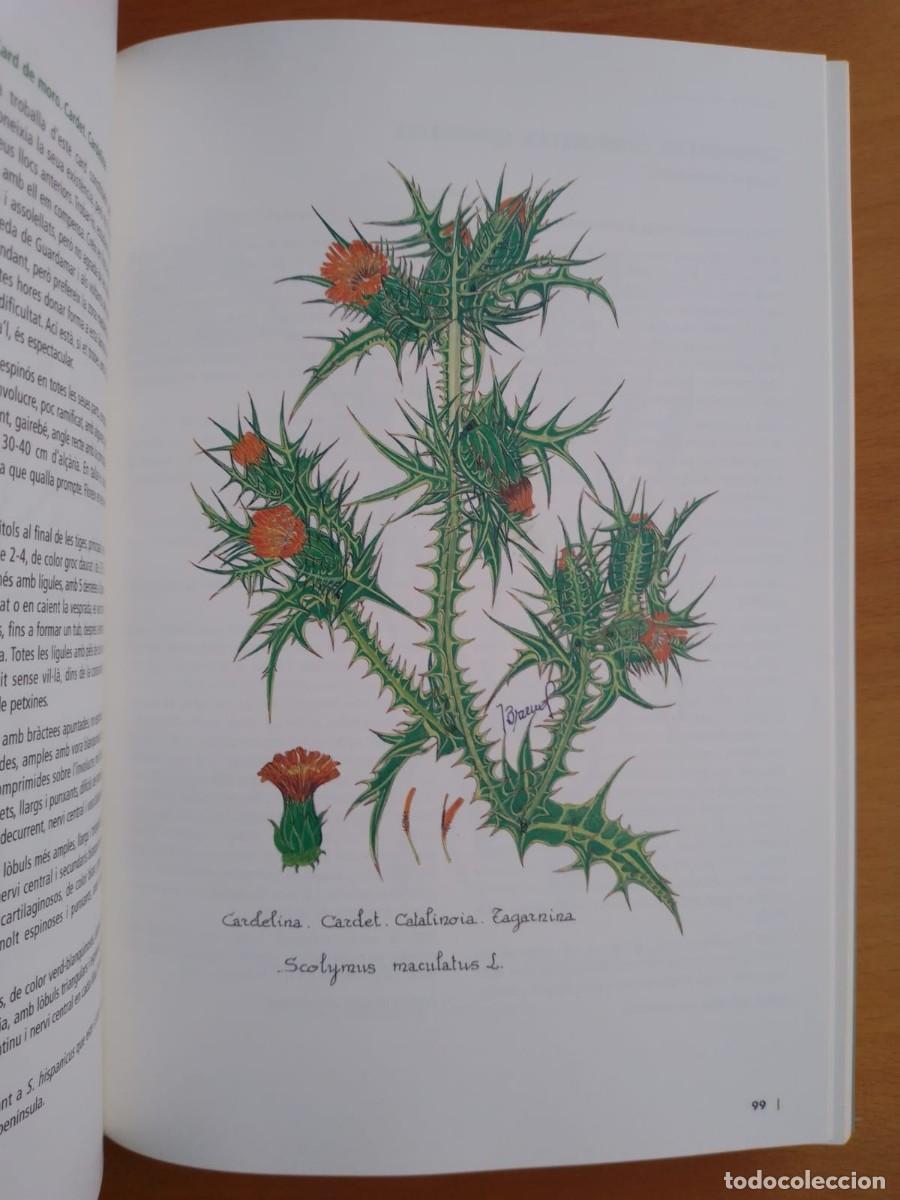 Libros de segunda mano: La flor de Guardamar, de Julio Bruno G&oacute;mez - Foto 3