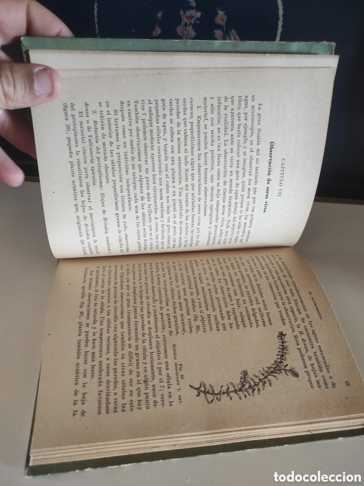 Libros de segunda mano: El microscopio. Elementos de t&eacute;cnica y observaci&oacute;n - S. Maluquer y Nicolau - Foto 4