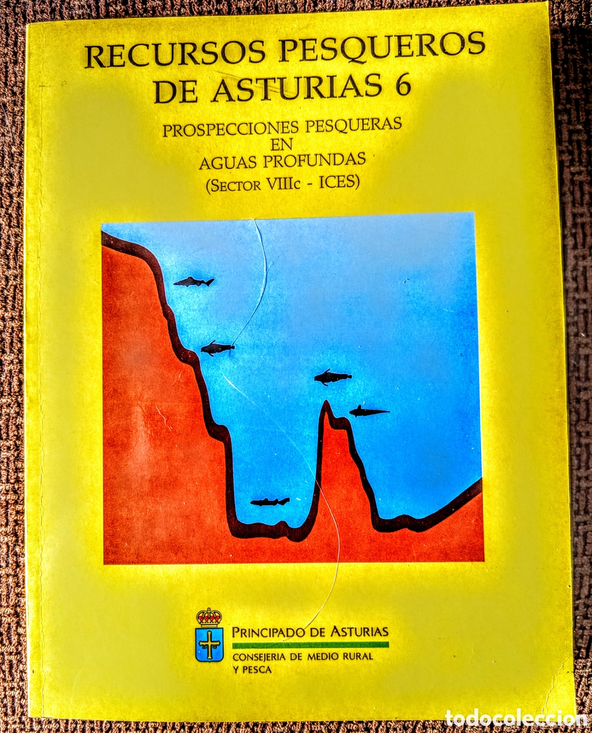 Libros de segunda mano: RECURSOS PESQUEROS DE ASTURIAS 4,6 - Foto 3