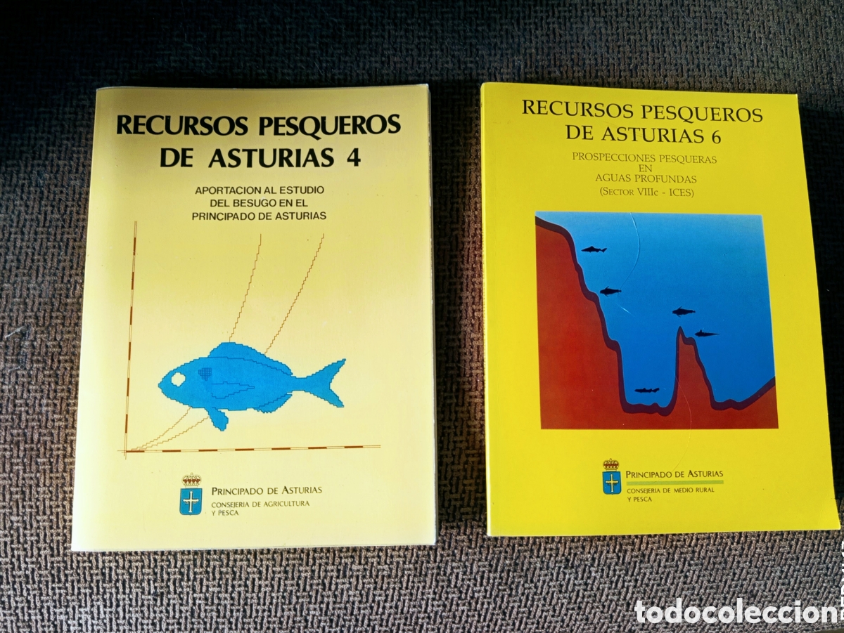 Libros de segunda mano: RECURSOS PESQUEROS DE ASTURIAS 4,6