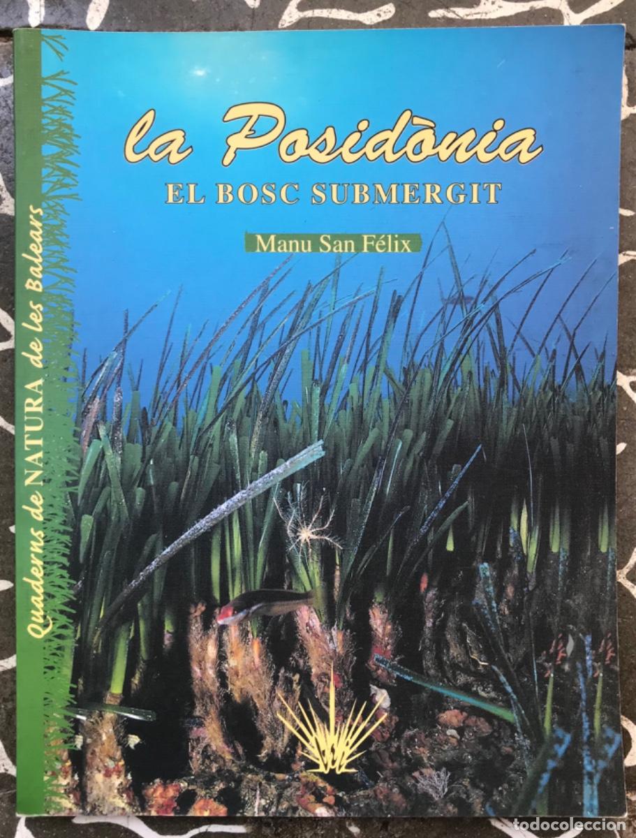 Libros de segunda mano: LA POSID&Ograve;NIA, EL BOSC SUMERGIT - 2000 - MANU SAN F&Eacute;LIX - Quaderns natura de les Illes Balears - Ed.