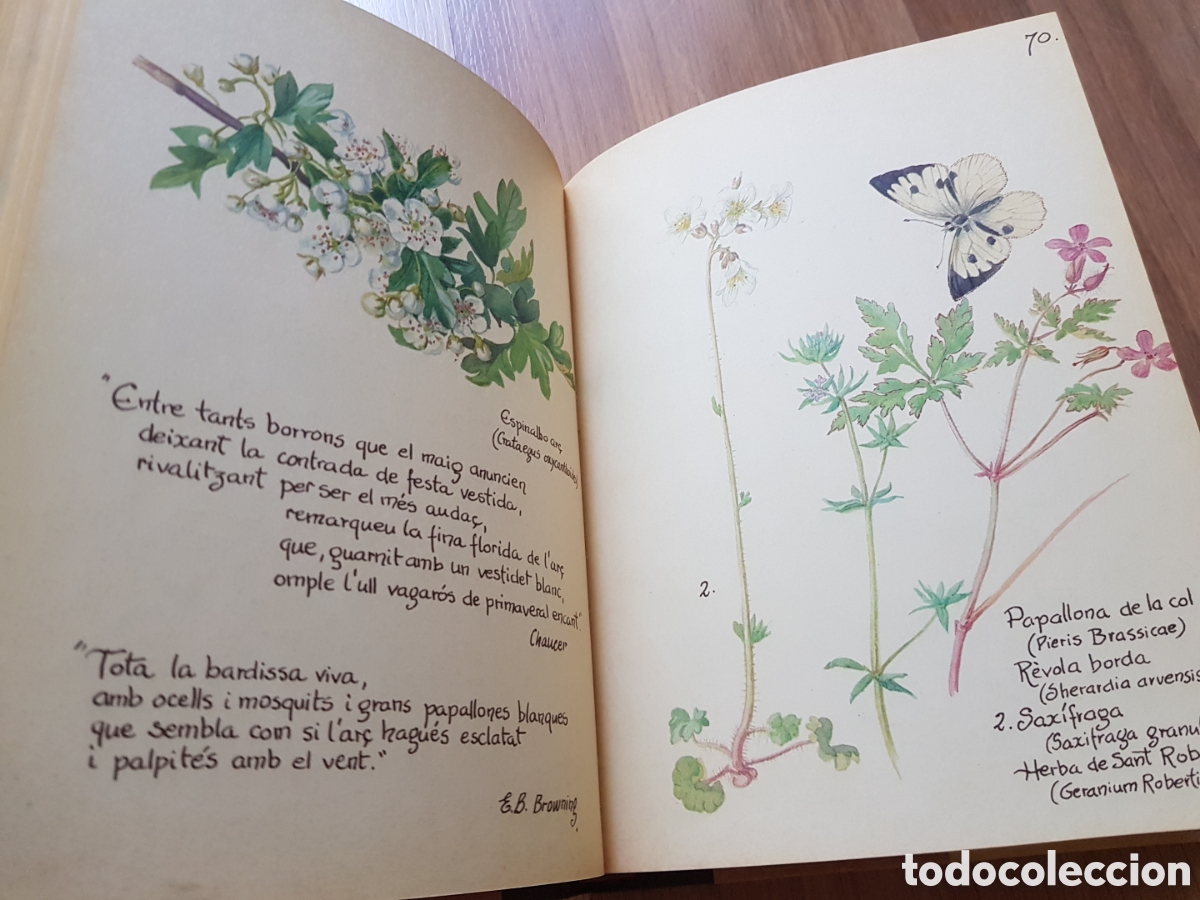 Libros de segunda mano: La joia de viure la natura. Edith holden - Foto 4