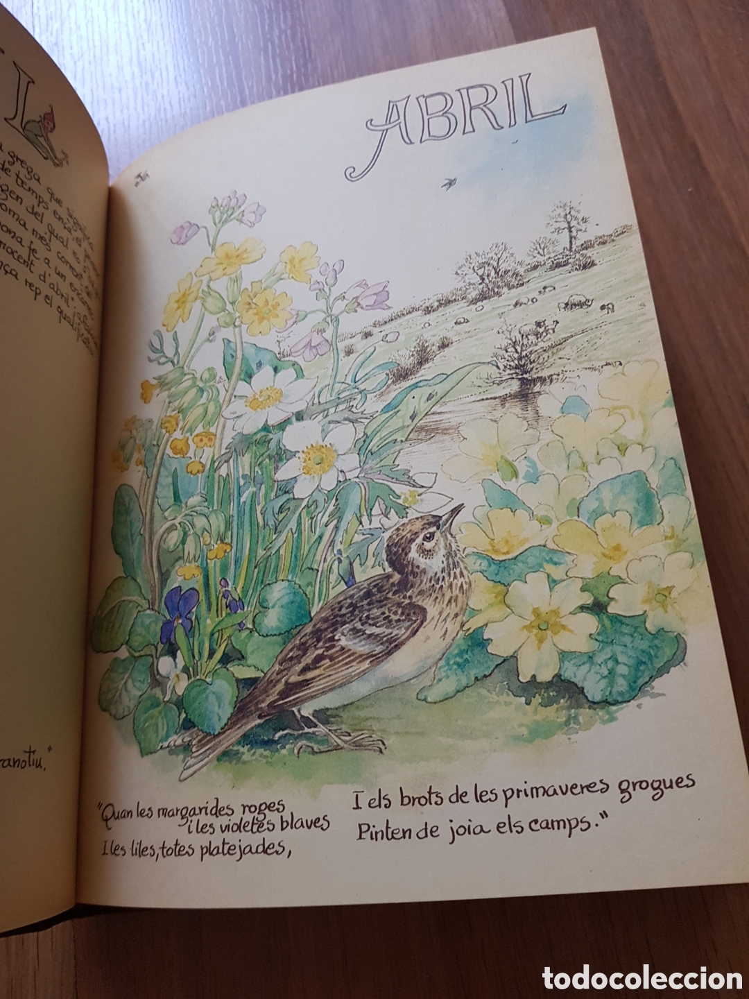 Libros de segunda mano: La joia de viure la natura. Edith holden - Foto 6