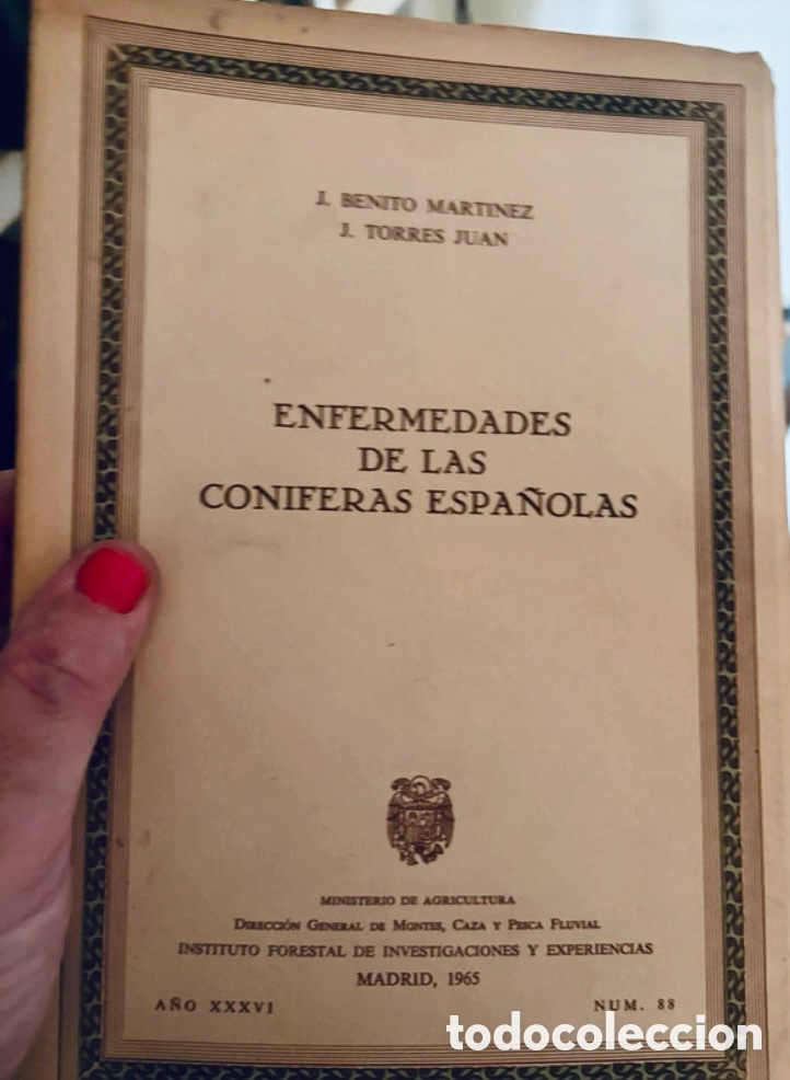 Libros de segunda mano: ENFERMEDADES DE LAS CONIFERAS ESPA&Ntilde;OLAS.