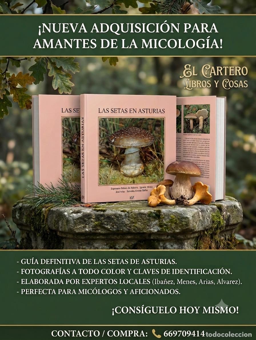 Libros de segunda mano: LAS SETAS EN ASTURIAS. ESPERANZA IBA&Ntilde;EZ DE ALDECOA, IGNACIO MENES, JOSE ARIAS Y SALVADOR ALVAREZ