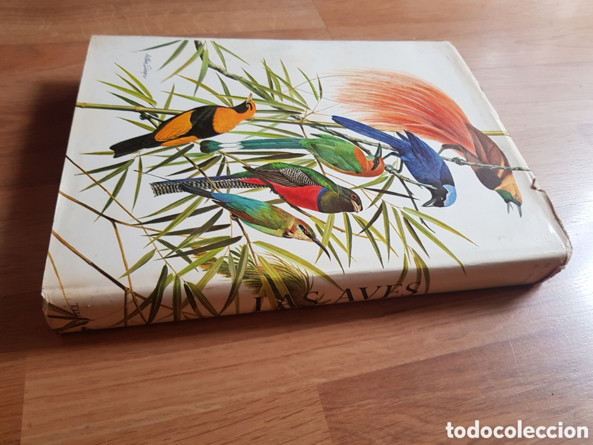 Libros de segunda mano: Las aves. timun mas. Oliver - Foto 2