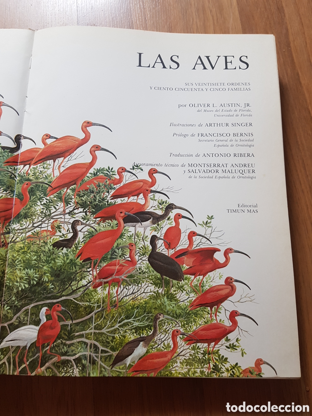 Libros de segunda mano: Las aves. timun mas. Oliver - Foto 4