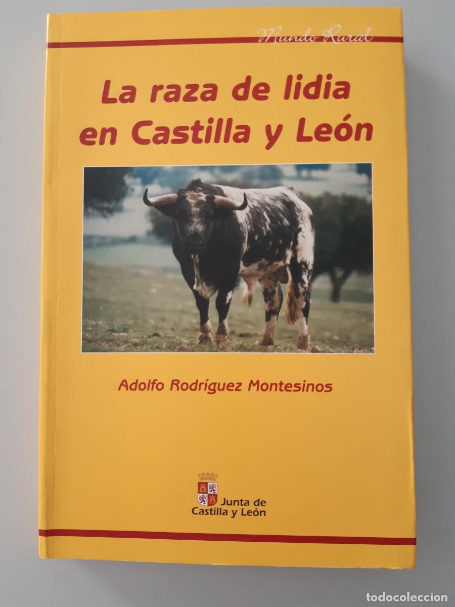Libros de segunda mano: La raza de lidia en Castilla y Le&oacute;n Adolfo Rodr&iacute;guez Montesinos tauromaquia