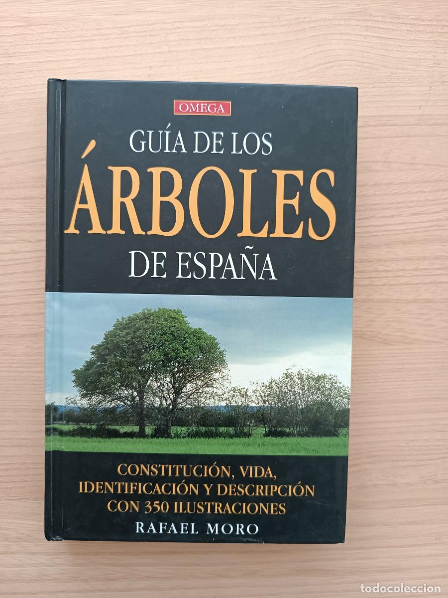 Libros de segunda mano: Gu&iacute;a de los &aacute;rboles de Espa&ntilde;a - Rafael Moro. Omega
