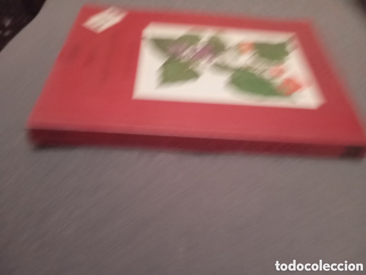 Libros de segunda mano: FLORA DE LAS ISLAS CANARIAS. DAVID BRAMWELL.-GUIA DE BOLSILLO - Foto 2