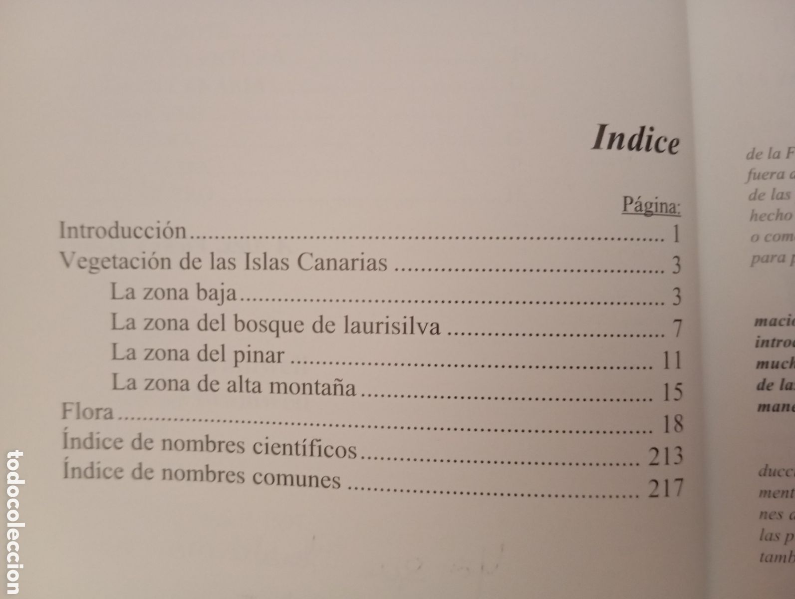 Libros de segunda mano: FLORA DE LAS ISLAS CANARIAS. DAVID BRAMWELL.-GUIA DE BOLSILLO - Foto 5