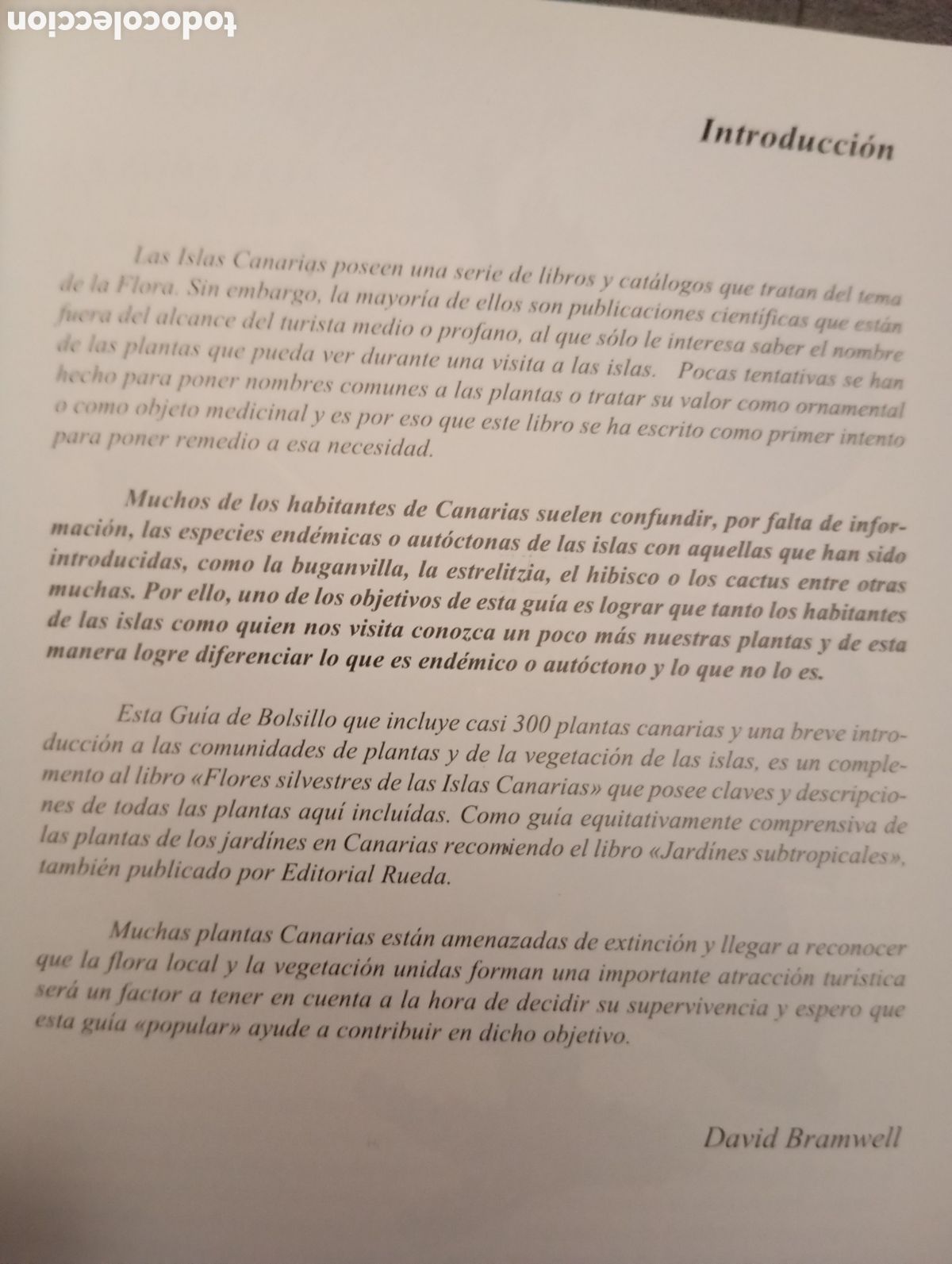 Libros de segunda mano: FLORA DE LAS ISLAS CANARIAS. DAVID BRAMWELL.-GUIA DE BOLSILLO - Foto 6