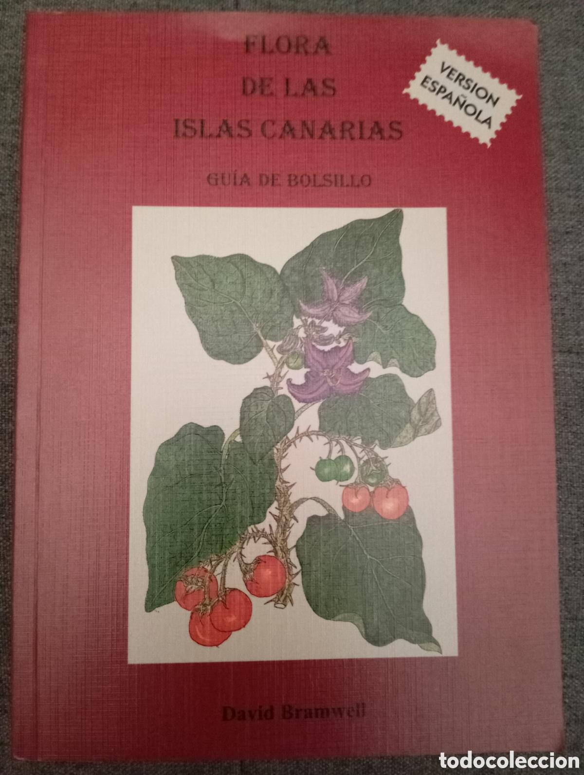 Libros de segunda mano: FLORA DE LAS ISLAS CANARIAS. DAVID BRAMWELL.-GUIA DE BOLSILLO