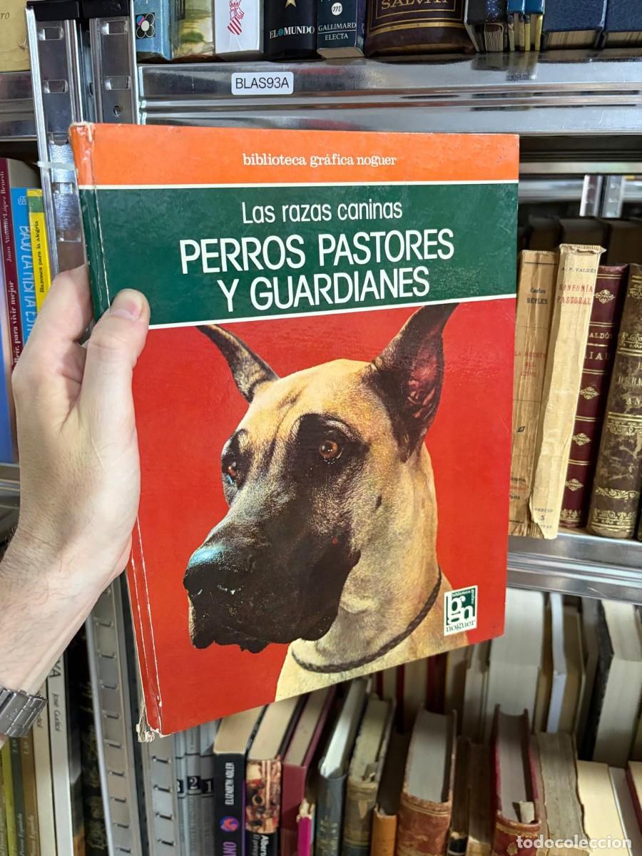 Libros de segunda mano: BLAS93A Las razas caninas: Perros pastores y guardianes. Biblioteca Gr&aacute;fica Noguer.