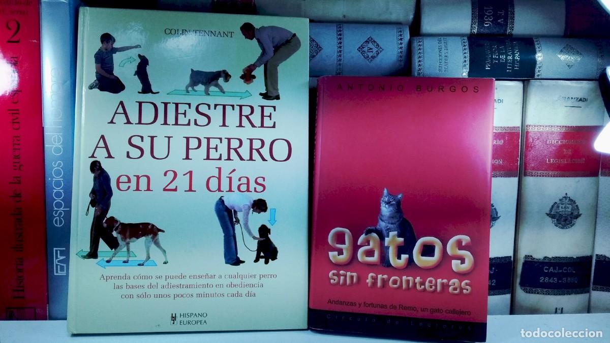Libros de segunda mano: ADIESTRE A SU PERRO EN 21 D&Iacute;AS. Por Col&iacute;n Tennant / GATOS SIN FRONTERAS. Antonio Burgos.
