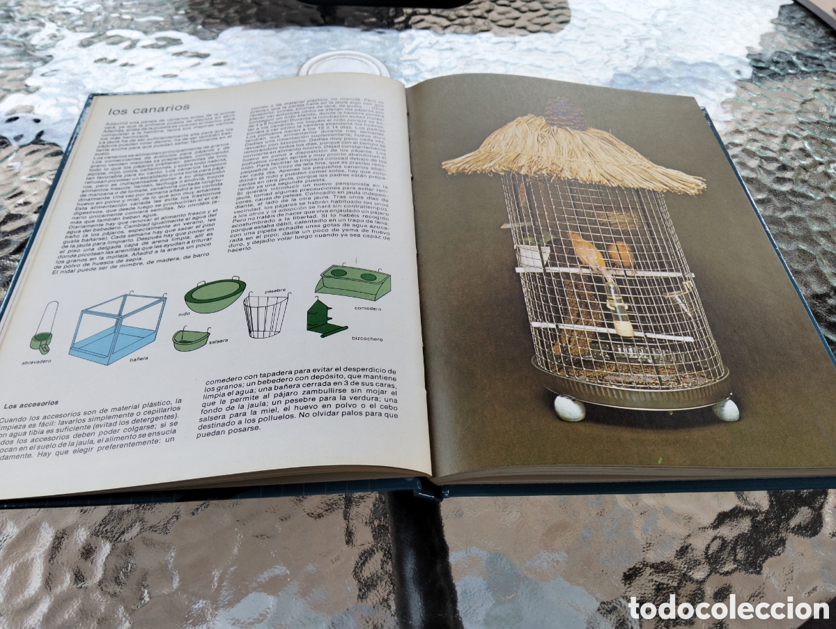 Libros de segunda mano: Amigos animales. Marcel Everaere - Foto 3