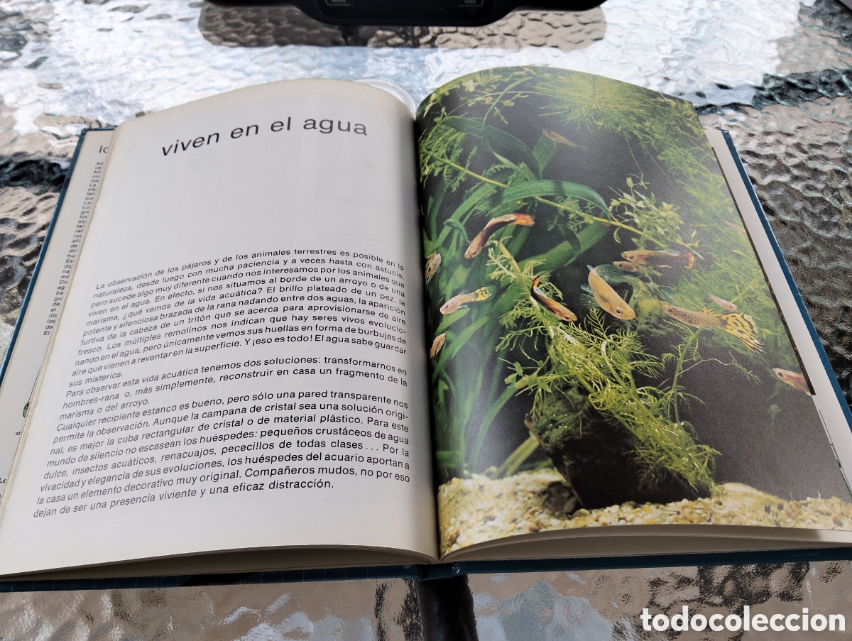 Libros de segunda mano: Amigos animales. Marcel Everaere - Foto 4