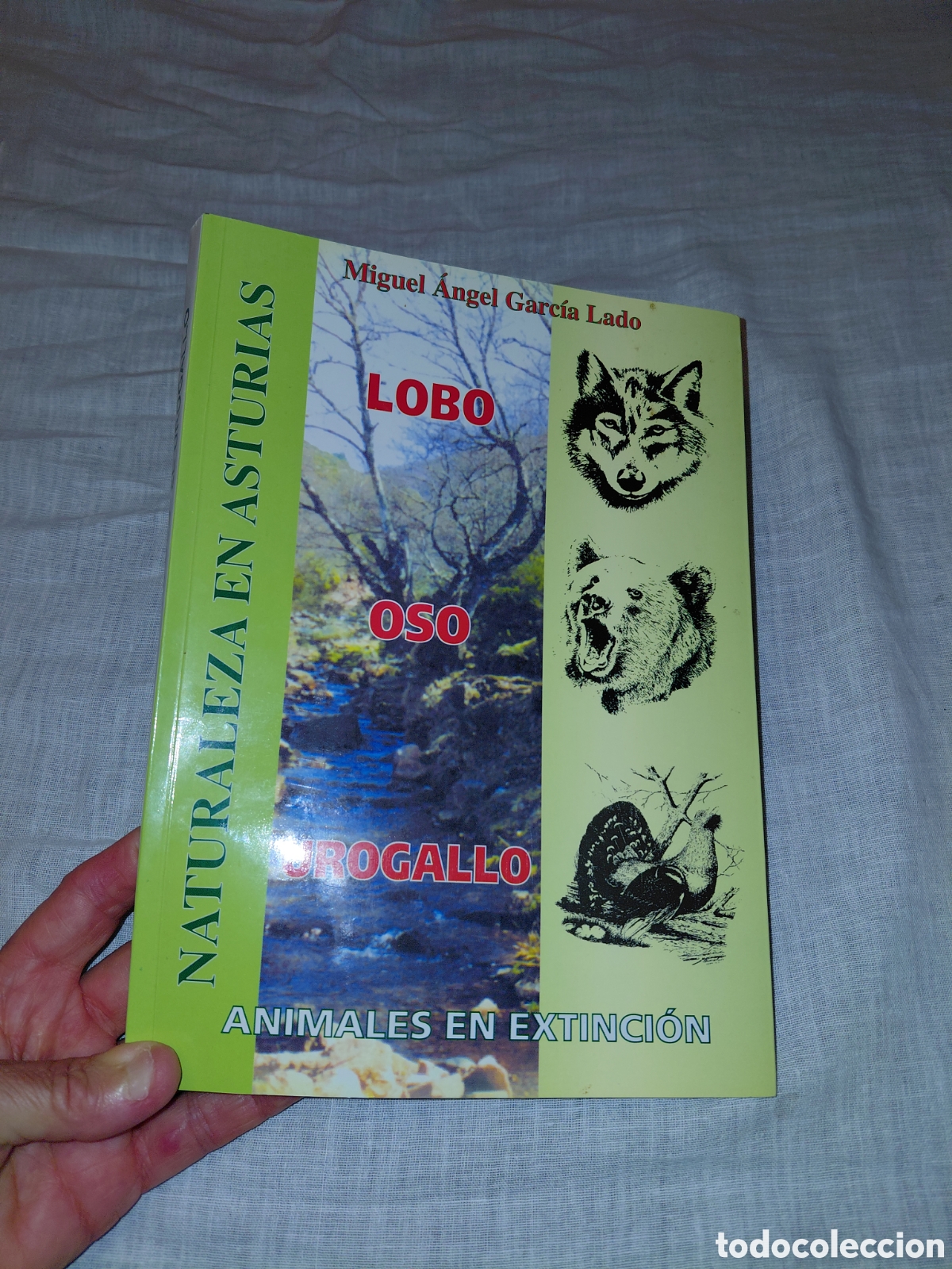Libros de segunda mano: ANIMALES EN EXTINCION MIGUEL.LOBO,OSO,UROGALLO.ANGEL GARCIA LADO.EDICIONES INTERACTIVO 2003