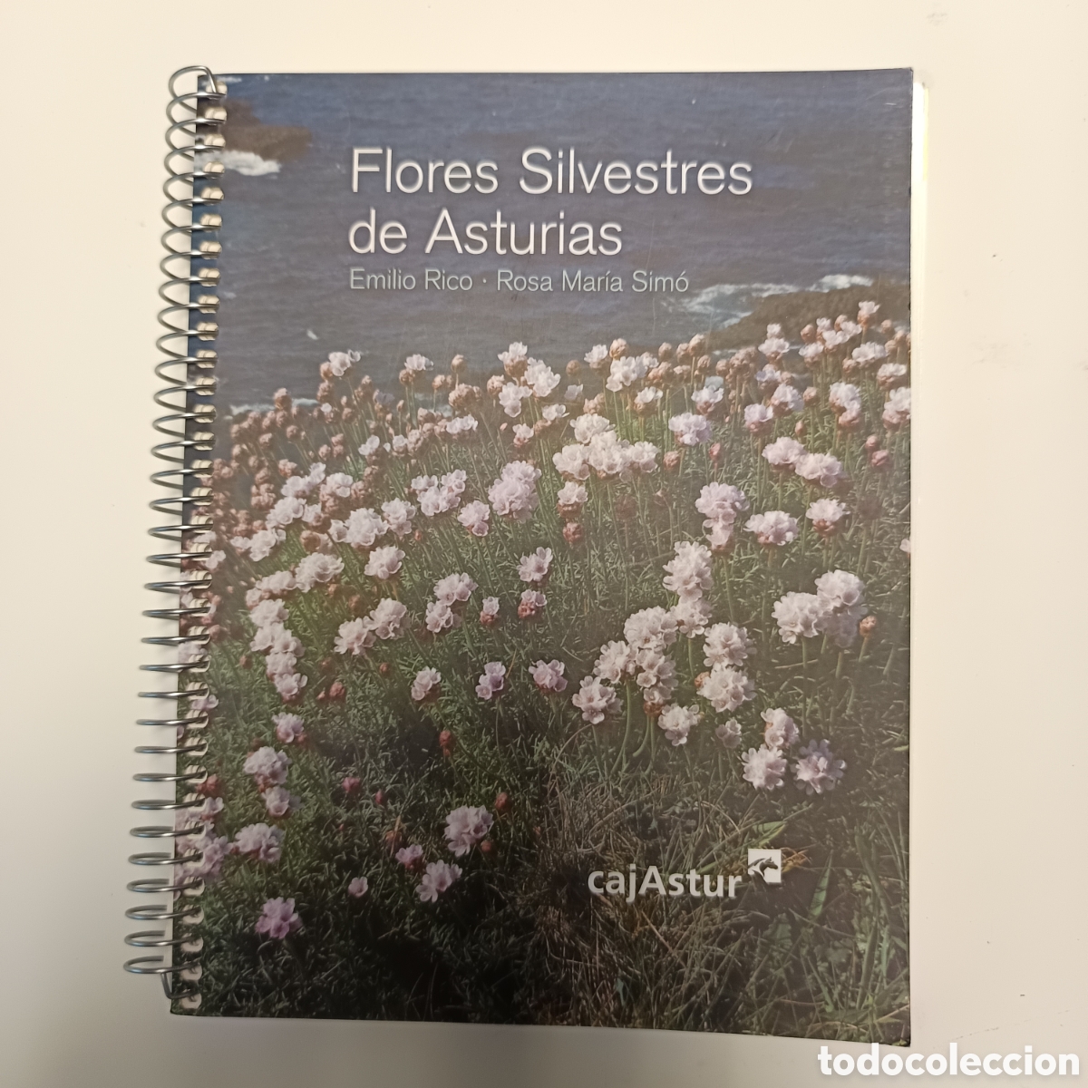 Libros de segunda mano: Flores silvestres de Asturias. RICO RICO, Emilio; SIM&Oacute; MART&Iacute;NEZ, Rosa Mar&iacute;a