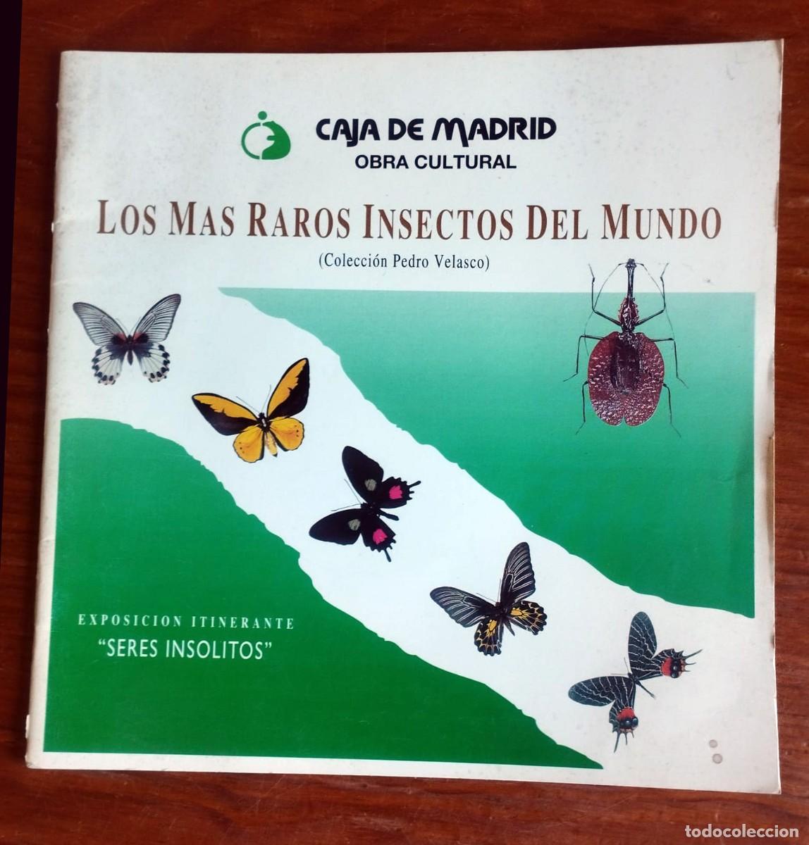Libros de segunda mano: Cat&aacute;logo &rdquo;Los M&aacute;s Raros Insectos del Mundo&rdquo; - Obra Cultural Caja de Madrid