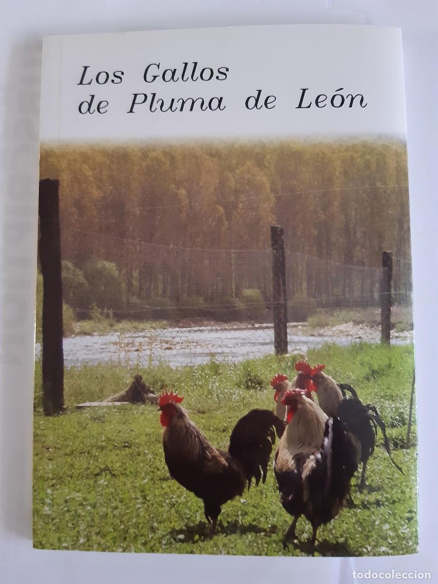 Libros de segunda mano: LOS GALLOS DE PLUMA DE LEON