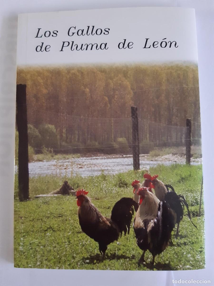 Libros de segunda mano: LOS GALLOS DE PLUMA DE LEON - Foto 2