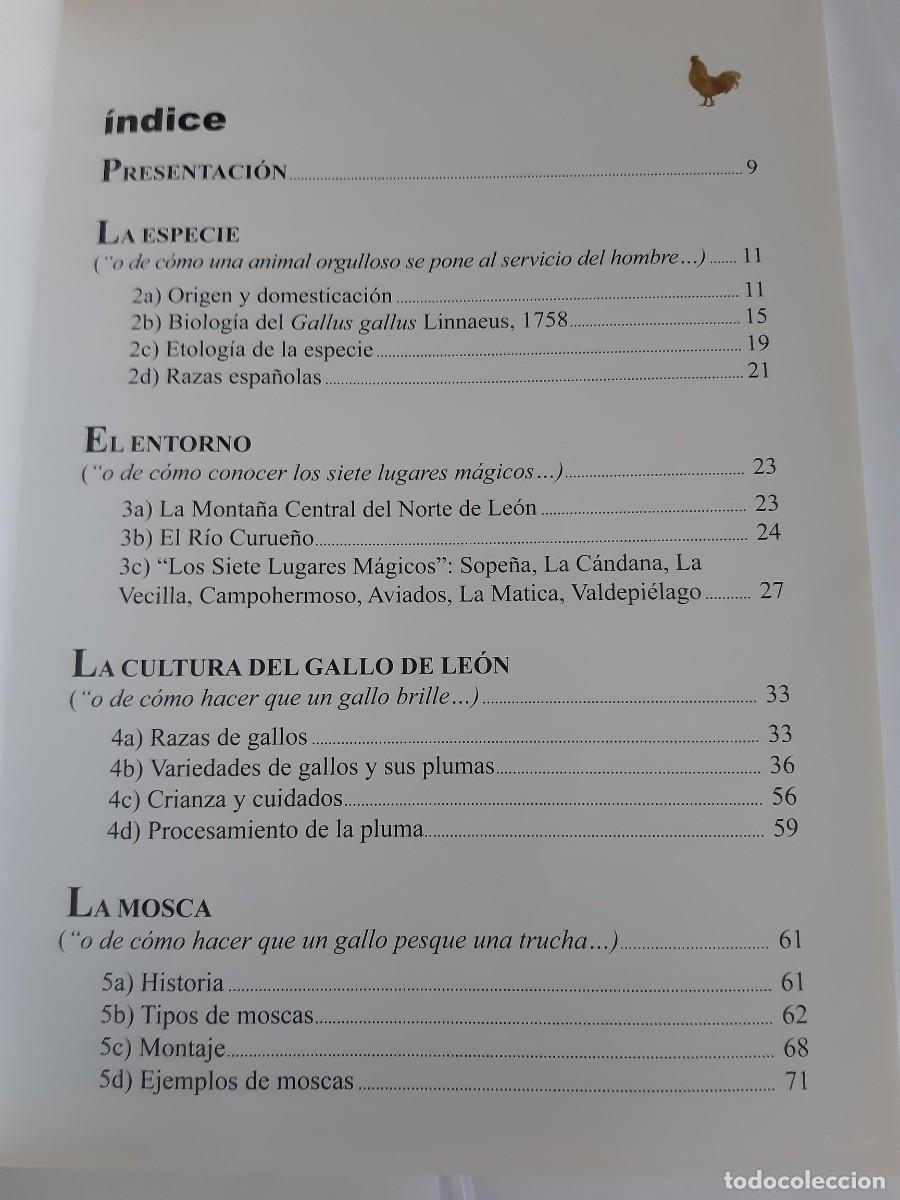 Libros de segunda mano: LOS GALLOS DE PLUMA DE LEON - Foto 3