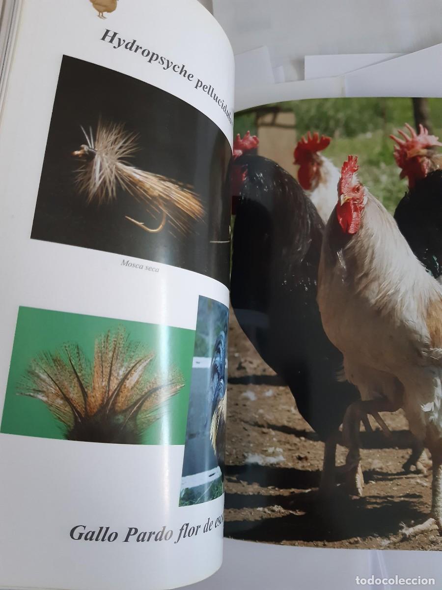 Libros de segunda mano: LOS GALLOS DE PLUMA DE LEON - Foto 4