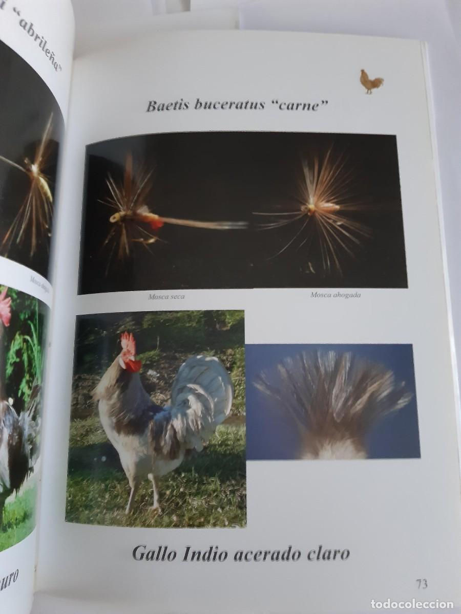 Libros de segunda mano: LOS GALLOS DE PLUMA DE LEON - Foto 5