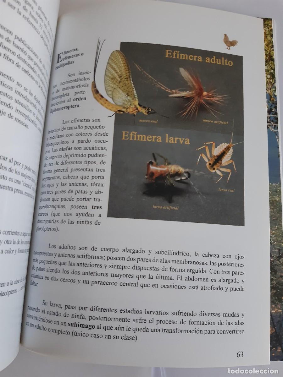 Libros de segunda mano: LOS GALLOS DE PLUMA DE LEON - Foto 6