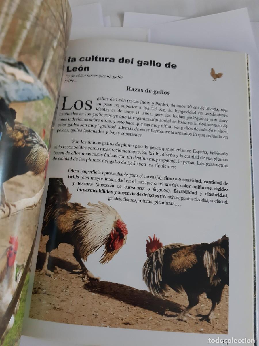 Libros de segunda mano: LOS GALLOS DE PLUMA DE LEON - Foto 8
