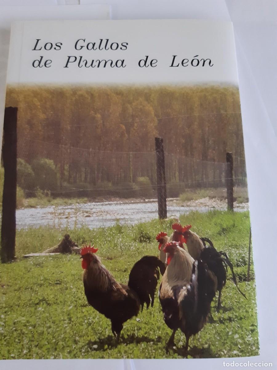 Libros de segunda mano: LOS GALLOS DE PLUMA DE LEON - Foto 9