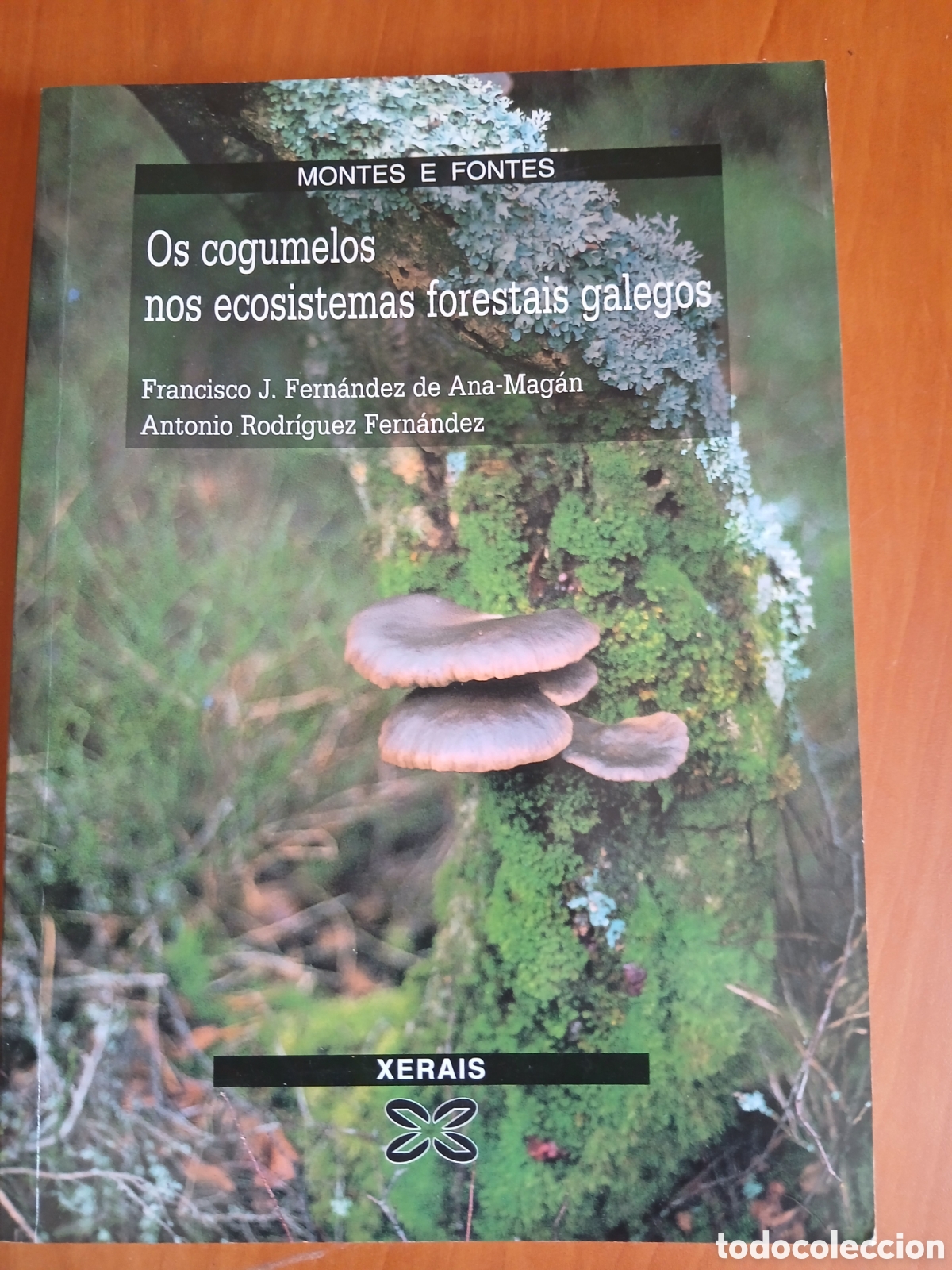 Libros de segunda mano: Os cogumelos nos ecosistemas forestais galegos. F. J. Fern&aacute;ndez de Ana-Mag&aacute;n, A. Rodr&iacute;guez. GALICIA.